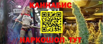 гашик Гагарин