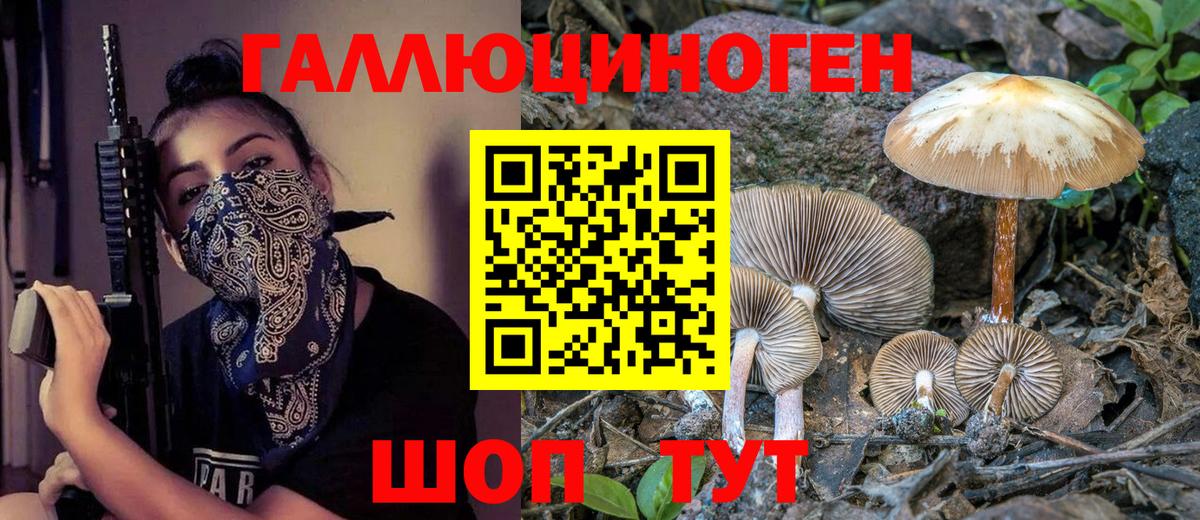 Псилоцибиновые грибы MAGIC MUSHROOMS Прохладный