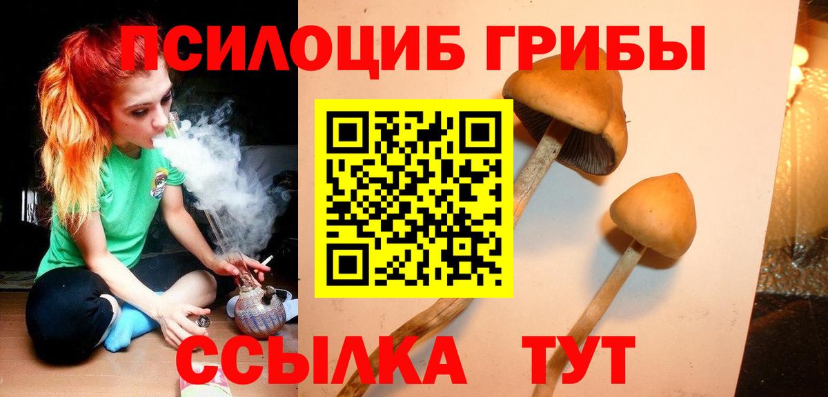 Галлюциногенные грибы Magic Shrooms  Вход с VPN  Псилоцибиновые грибы мицелий  Прохладный 